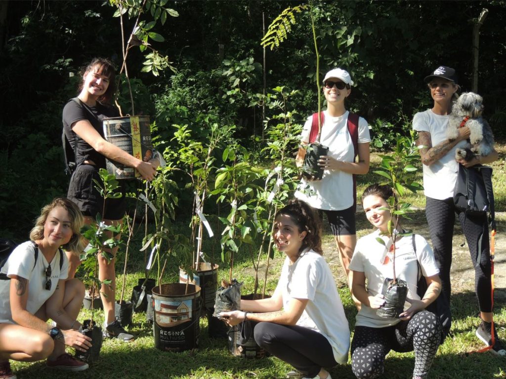 Banco de Imagem Nativa - Plantio Meu Salão - Carbon Free Brasil