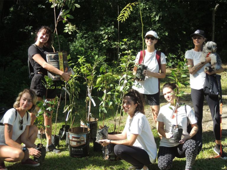 Banco de Imagem Nativa - Plantio Meu Salão - Carbon Free Brasil